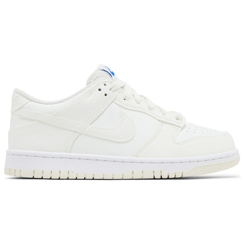nikedunklowsailcroc.png